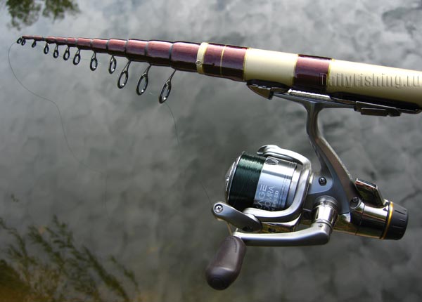 Shimano Beast Master Midi TR GT