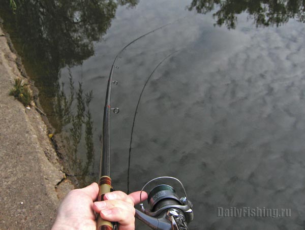 Shimano Beast Master Midi TR GT Shimano Beast Master Midi TR GT
