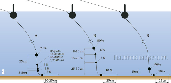 ris3