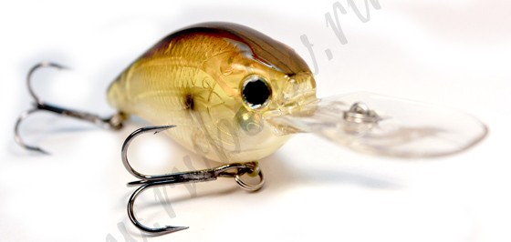 Lucky Craft  FLAT CB DR F AG GOLDEN SHINER (62,5 , 14 ) - 