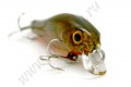 ZIPBAITS  Rigge 35F  014 - 