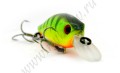  Pontoon-21 40F MR CHEERFUL ( MATTE CHARTREUSE PERCH NO. 042) - 