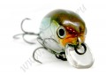  Pontoon-21 38F SR HYPNOSE ( CRASH HG WAKASAGI NO.005) - 