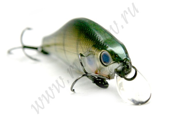 ZIPBAITS  Knamsin 70 SR  513 - 