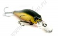 ZIPBAITS  Rigge 70F  050 - 