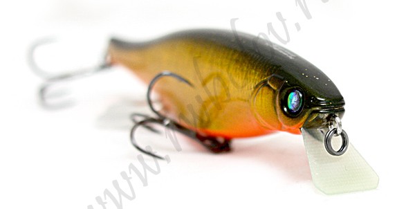 MEGABASS  VISION 100 MIYABI ( GG MEGABASS KINKURO)