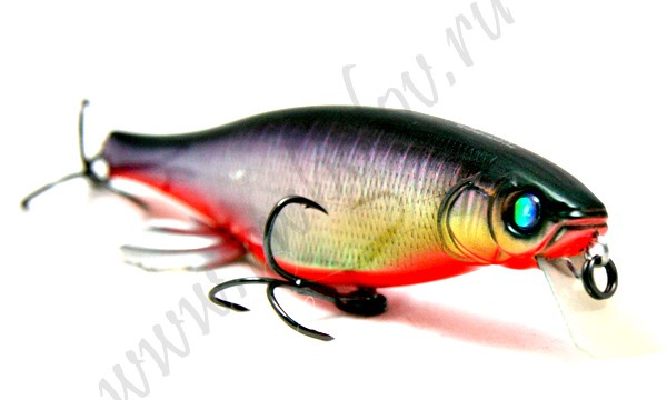 MEGABASS  VISION 100 MIYABI ( GG MIYABI RP)