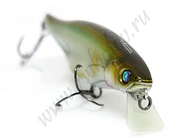 MEGABASS  VISION 100 MIYABI ( PM KISYU AYU)