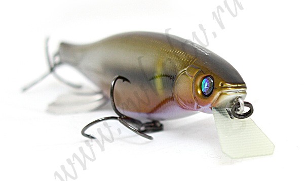 MEGABASS  VISION 100 MIYABI ( PM OCHI AYU)