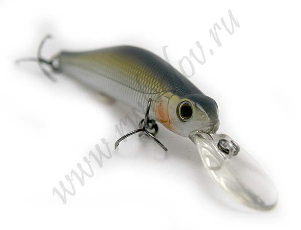 ZIPBAITS  Orbit 80SP  300 - 