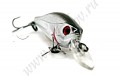  Pontoon-21 40F MR CHEERFUL ( CHERFUL NO.011) - 