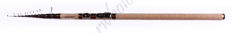 BEAST MASTER BX CARP FLOAT 13 (3.96  25)